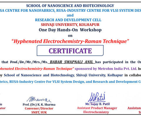 Hyphenated Electrochemistry-Raman Technique