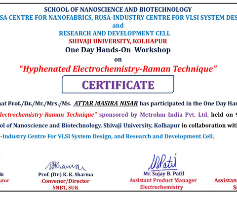 Hyphenated Electrochemistry-Raman Technique.