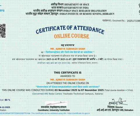 Overview of Geocomputation and Geo-web services